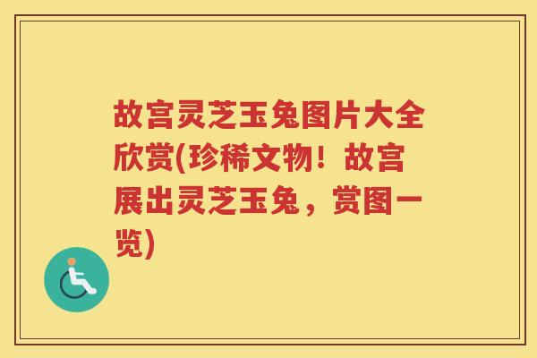 故宫灵芝玉兔图片大全欣赏(珍稀文物！故宫展出灵芝玉兔，赏图一览)