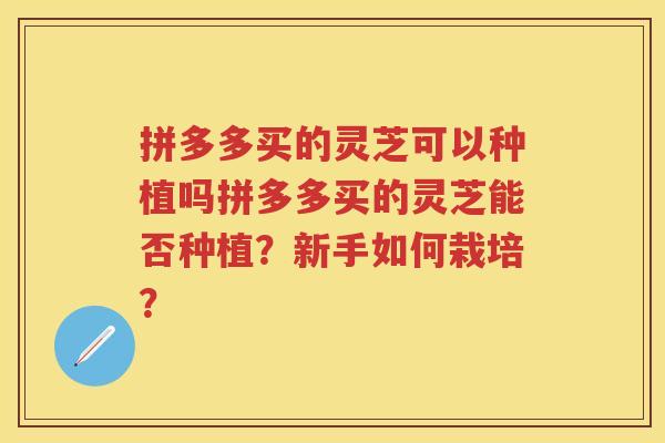 拼多多买的灵芝可以种植吗拼多多买的灵芝能否种植?新手如何栽培? 拼多多买的灵芝可以种植吗拼多多买的灵芝能否种植?新手如何栽培?