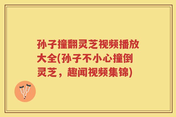 孙子撞翻灵芝视频播放大全(孙子不小心撞倒灵芝，趣闻视频集锦)
