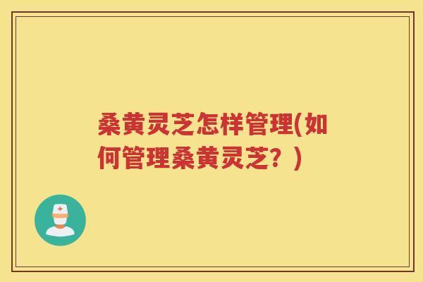 桑黄灵芝怎样管理(如何管理桑黄灵芝?) 桑黄灵芝怎样管理(如何管理桑黄灵芝?)