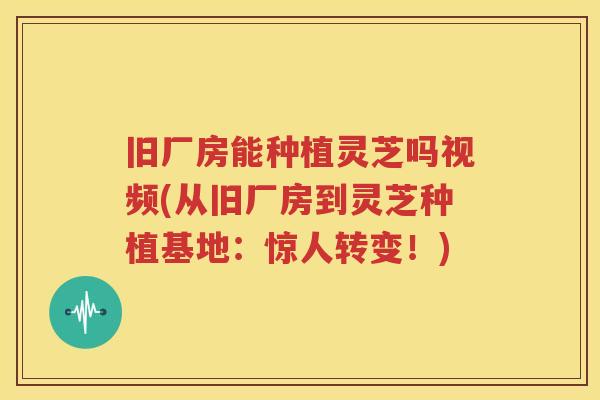 旧厂房能种植灵芝吗视频(从旧厂房到灵芝种植基地：惊人转变！)