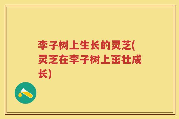 李子树上生长的灵芝(灵芝在李子树上茁壮成长)