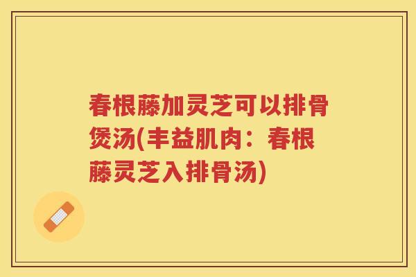 春根藤加灵芝可以排骨煲汤(丰益肌肉：春根藤灵芝入排骨汤)