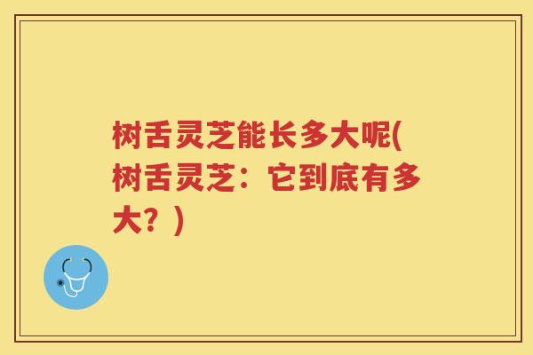 树舌灵芝能长多大呢(树舌灵芝：它到底有多大？)