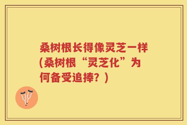 桑树根长得像灵芝一样(桑树根“灵芝化”为何备受追捧？)