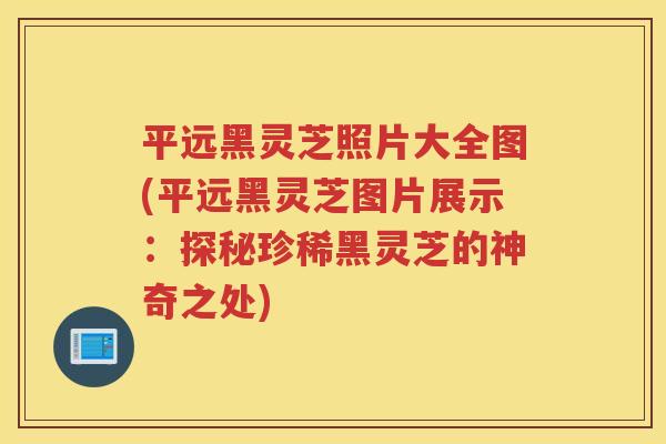 平远黑灵芝照片大全图(平远黑灵芝图片展示:探秘珍稀黑灵芝的神奇之处) 平远黑灵芝照片大全图(平远黑灵芝图片展示:探秘珍稀黑灵芝的神奇之处)