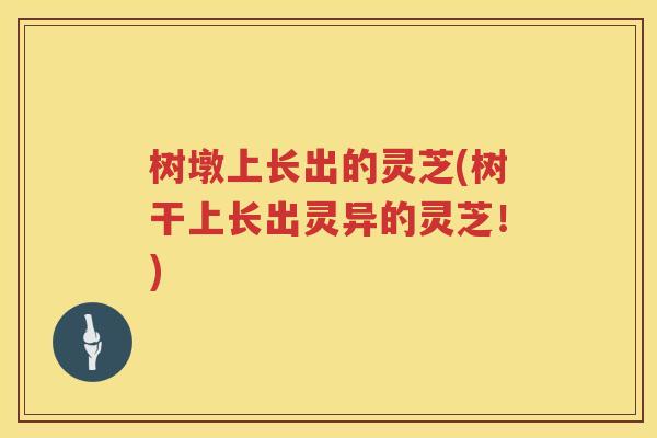 树墩上长出的灵芝(树干上长出灵异的灵芝！)