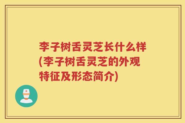 李子树舌灵芝长什么样(李子树舌灵芝的外观特征及形态简介) 李子树舌灵芝长什么样(李子树舌灵芝的外观特征及形态简介)