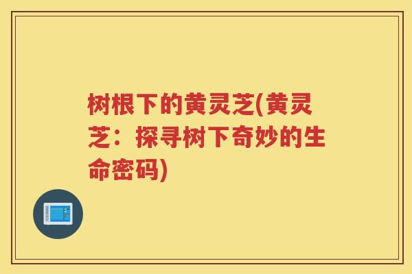 树根下的黄灵芝(黄灵芝：探寻树下奇妙的生命密码)
