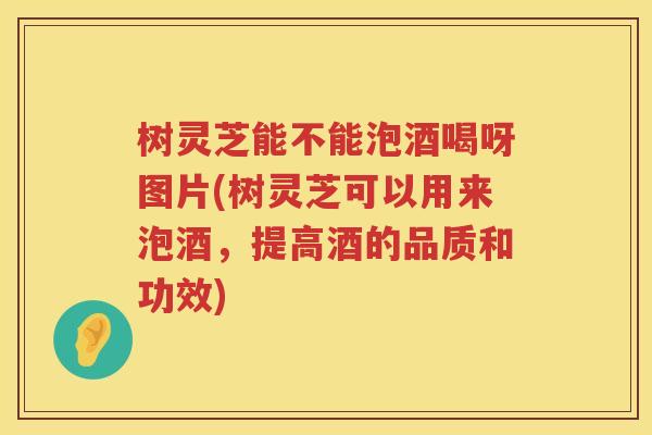 树灵芝能不能泡酒喝呀图片(树灵芝可以用来泡酒，提高酒的品质和功效)