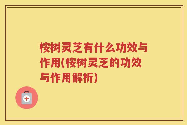桉树灵芝有什么功效与作用(桉树灵芝的功效与作用解析) 桉树灵芝有什么功效与作用(桉树灵芝的功效与作用解析)