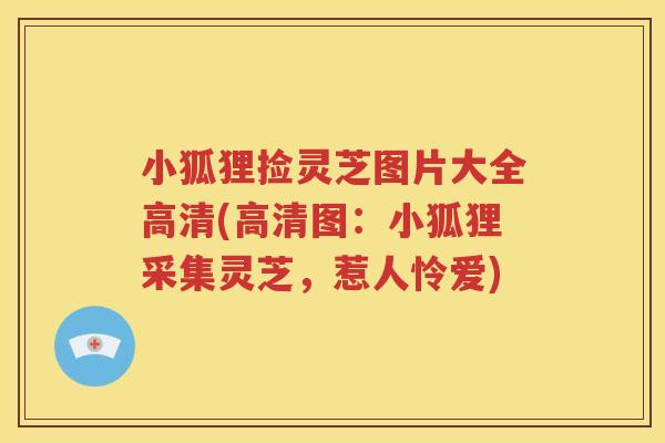 小狐狸捡灵芝图片大全高清(高清图：小狐狸采集灵芝，惹人怜爱)