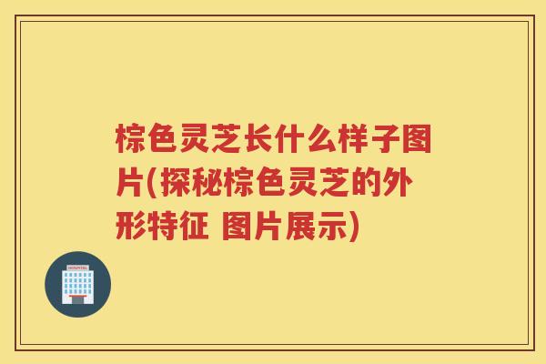 棕色灵芝长什么样子图片(探秘棕色灵芝的外形特征 图片展示)