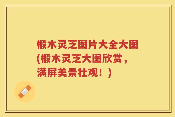 椴木灵芝图片大全大图(椴木灵芝大图欣赏，满屏美景壮观！)