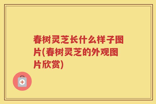 春树灵芝长什么样子图片(春树灵芝的外观图片欣赏)