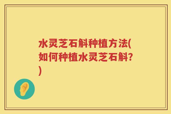 水灵芝石斛种植方法(如何种植水灵芝石斛？)