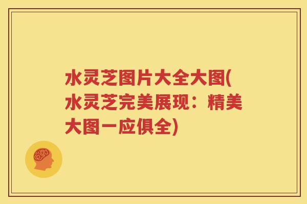 水灵芝图片大全大图(水灵芝完美展现：精美大图一应俱全)