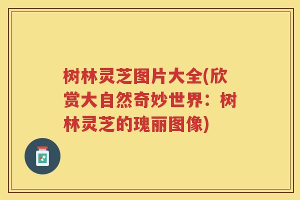 树林灵芝图片大全(欣赏大自然奇妙世界：树林灵芝的瑰丽图像)
