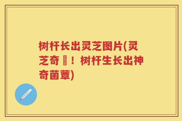 树杆长出灵芝图片(灵芝奇蹟！树杆生长出神奇菌蕈)