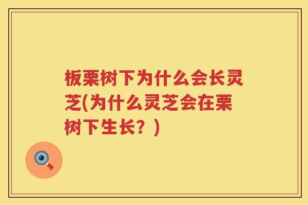 板栗树下为什么会长灵芝(为什么灵芝会在栗树下生长？)