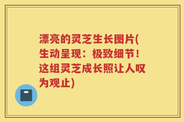 漂亮的灵芝生长图片(生动呈现:极致细节!这组灵芝成长照让人叹为观止) 漂亮的灵芝生长图片(生动呈现:极致细节!这组灵芝成长照让人叹为观止)