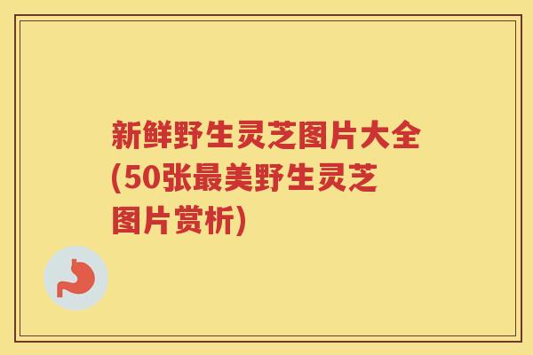 新鲜野生灵芝图片大全(50张美野生灵芝图片赏析)