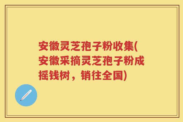 安徽灵芝孢子粉收集(安徽采摘灵芝孢子粉成摇钱树,销往全国) 安徽灵芝孢子粉收集(安徽采摘灵芝孢子粉成摇钱树,销往全国)