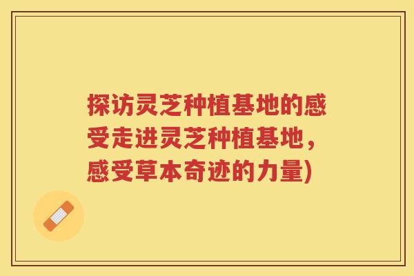 探访灵芝种植基地的感受走进灵芝种植基地,感受草本奇迹的力量) 探访灵芝种植基地的感受走进灵芝种植基地,感受草本奇迹的力量)