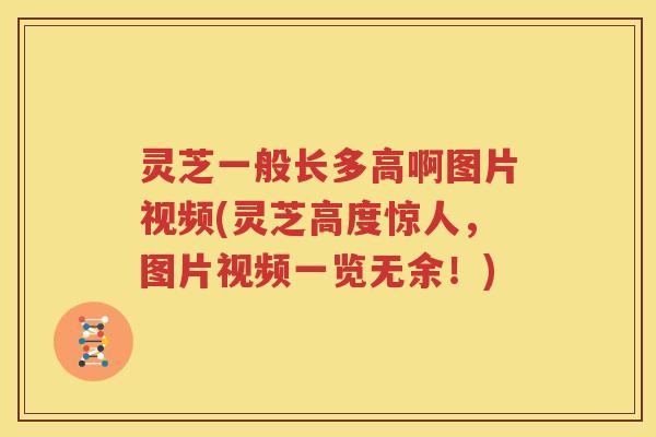 灵芝一般长多高啊图片视频(灵芝高度惊人，图片视频一览无余！)