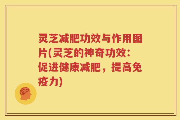灵芝功效与作用图片(灵芝的神奇功效：促进健康，提高免疫力)