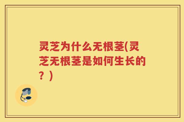 灵芝为什么无根茎(灵芝无根茎是如何生长的？)