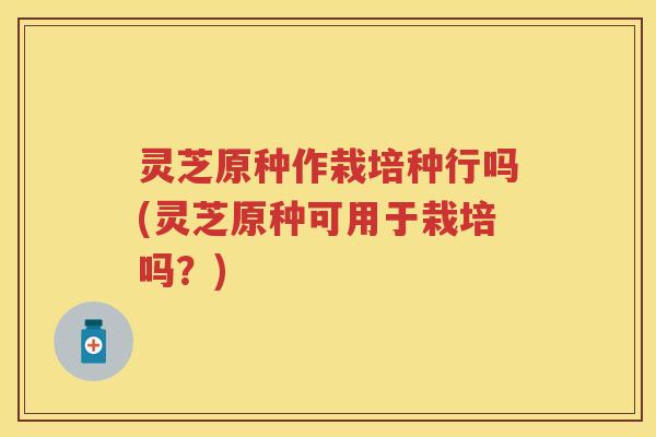 灵芝原种作栽培种行吗(灵芝原种可用于栽培吗？)
