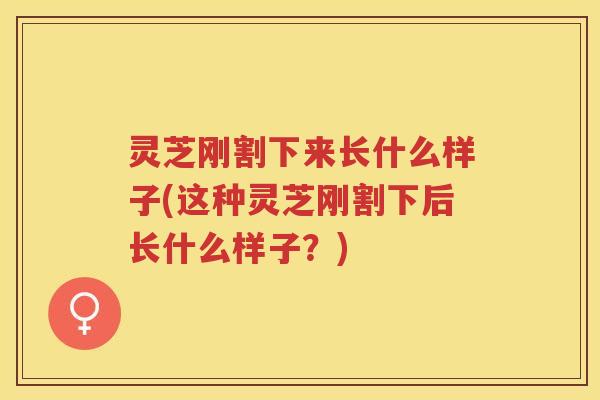 灵芝刚割下来长什么样子(这种灵芝刚割下后长什么样子？)