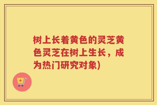 树上长着黄色的灵芝黄色灵芝在树上生长，成为热门研究对象)