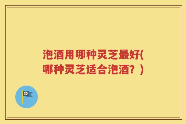 泡酒用哪种灵芝好(哪种灵芝适合泡酒?) 泡酒用哪种灵芝好(哪种灵芝适合泡酒?)