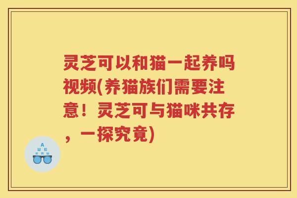 灵芝可以和猫一起养吗视频(养猫族们需要注意！灵芝可与猫咪共存，一探究竟)