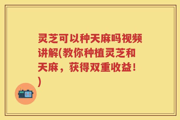 灵芝可以种天麻吗视频讲解(教你种植灵芝和天麻，获得双重收益！)