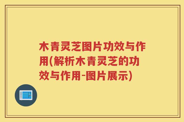 木青灵芝图片功效与作用(解析木青灵芝的功效与作用-图片展示)