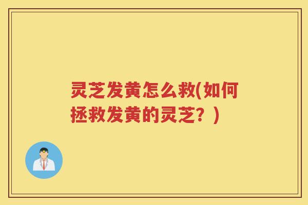 灵芝发黄怎么救(如何拯救发黄的灵芝?) 灵芝发黄怎么救(如何拯救发黄的灵芝?)