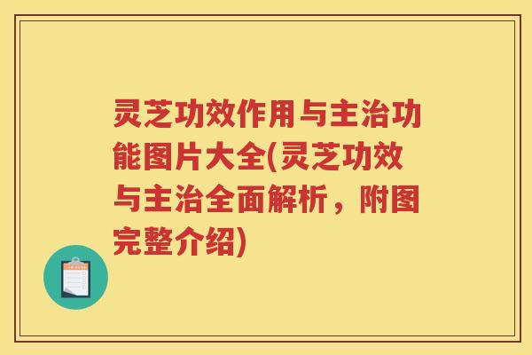 灵芝功效作用与主功能图片大全(灵芝功效与主全面解析,附图完整介绍) 灵芝功效作用与主功能图片大全(灵芝功效与主全面解析,附图完整介绍)
