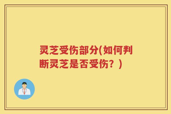 灵芝受伤部分(如何判断灵芝是否受伤?) 灵芝受伤部分(如何判断灵芝是否受伤?)
