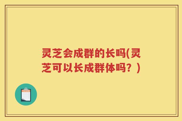 灵芝会成群的长吗(灵芝可以长成群体吗?) 灵芝会成群的长吗(灵芝可以长成群体吗?)