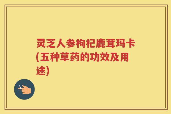 灵芝人参枸杞鹿茸玛卡(五种草药的功效及用途)