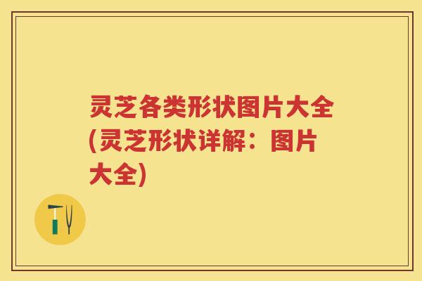 灵芝各类形状图片大全(灵芝形状详解:图片大全) 灵芝各类形状图片大全(灵芝形状详解:图片大全)