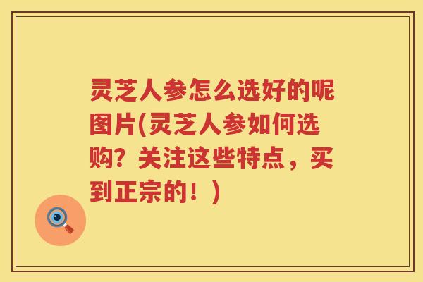 灵芝人参怎么选好的呢图片(灵芝人参如何选购？关注这些特点，买到正宗的！)
