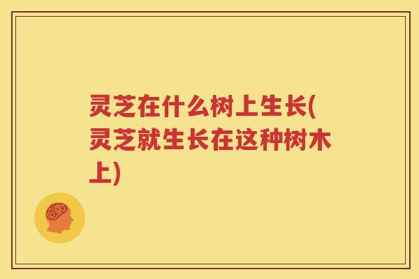 灵芝在什么树上生长(灵芝就生长在这种树木上) 灵芝在什么树上生长(灵芝就生长在这种树木上)