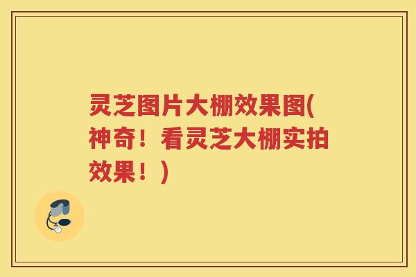 灵芝图片大棚效果图(神奇！看灵芝大棚实拍效果！)