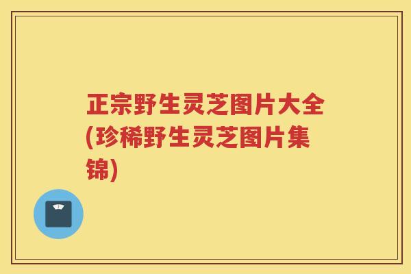 正宗野生灵芝图片大全(珍稀野生灵芝图片集锦)