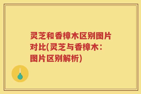 灵芝和香樟木区别图片对比(灵芝与香樟木：图片区别解析)