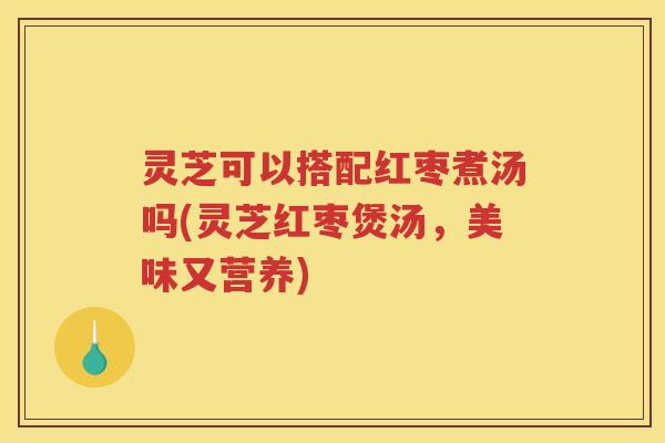 灵芝可以搭配红枣煮汤吗(灵芝红枣煲汤，美味又营养)
